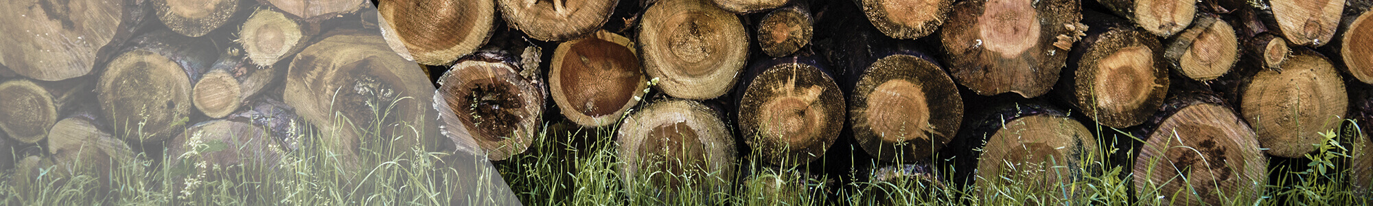 Logs